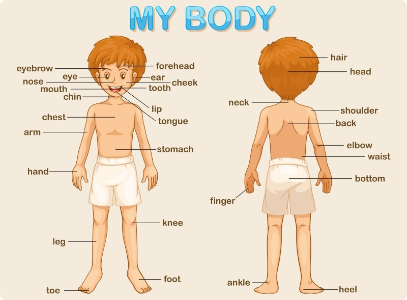  Talk About Your Body